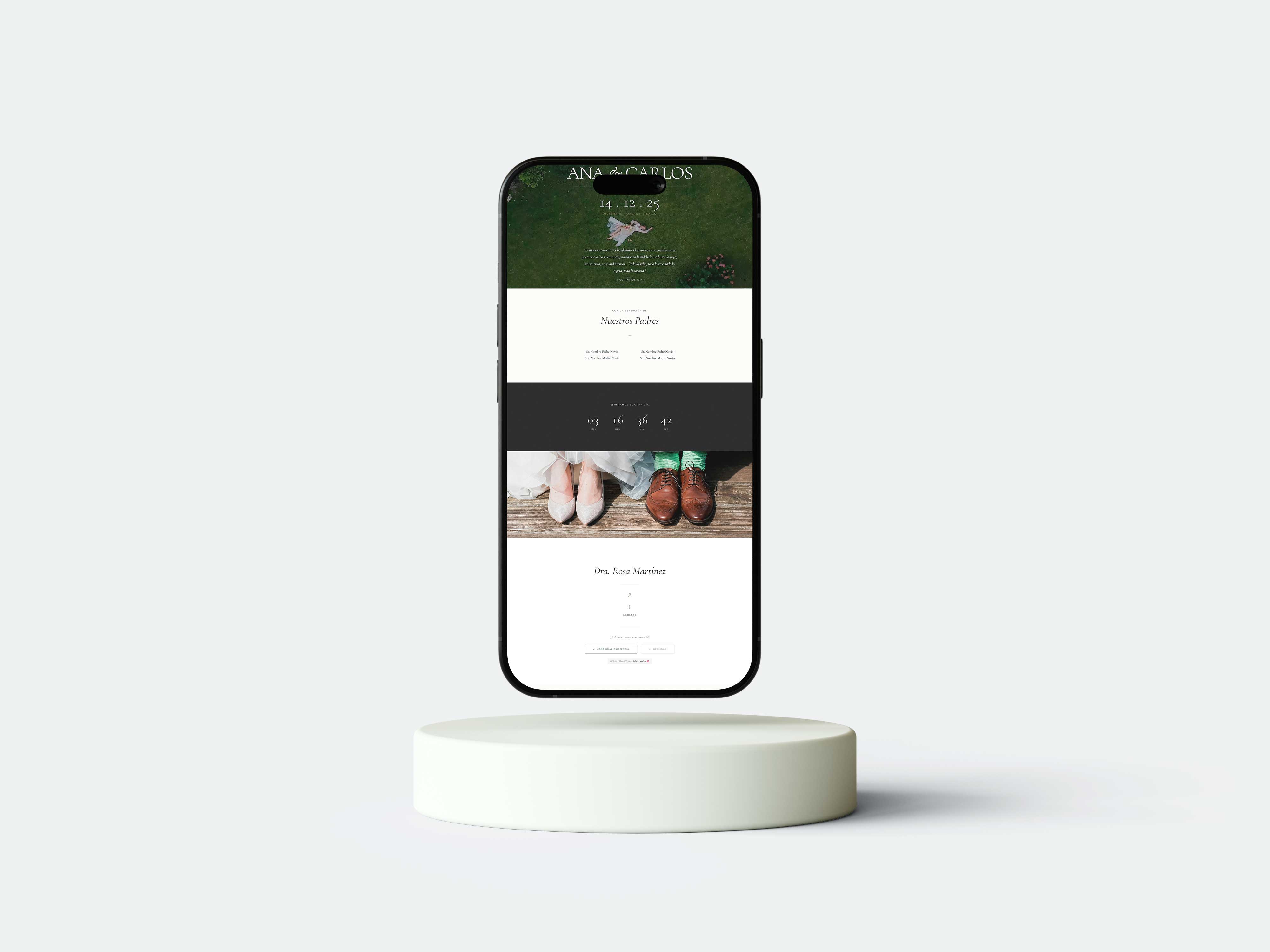 Tips RSVP Inteligente